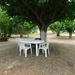 κωνσταντίνος έλενα